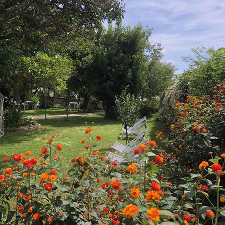 بروسيدا Villa Caterina B&B المظهر الخارجي الصورة