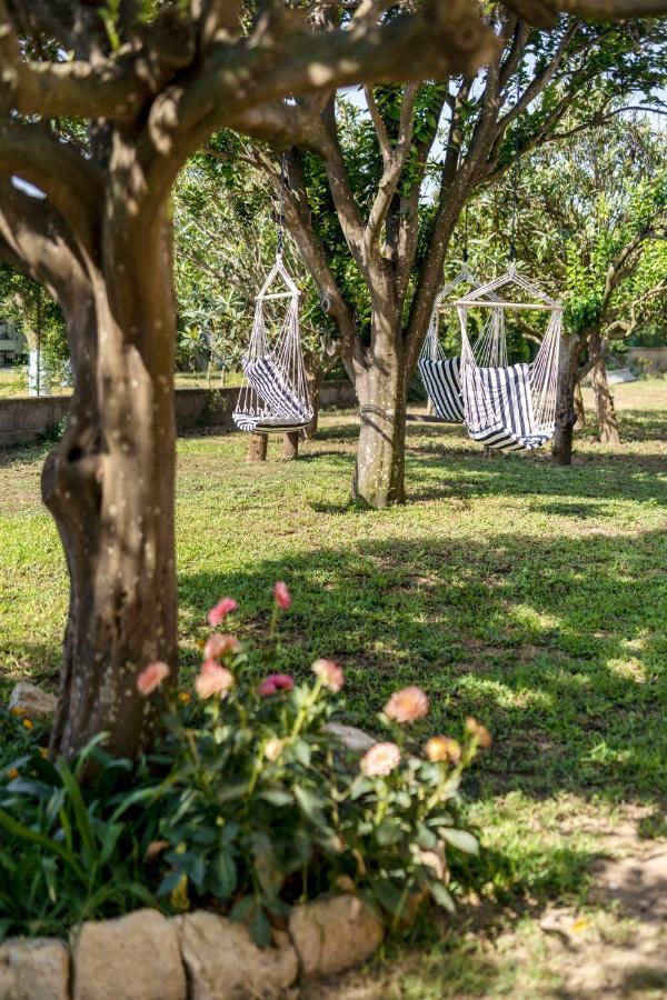 بروسيدا Villa Caterina B&B المظهر الخارجي الصورة