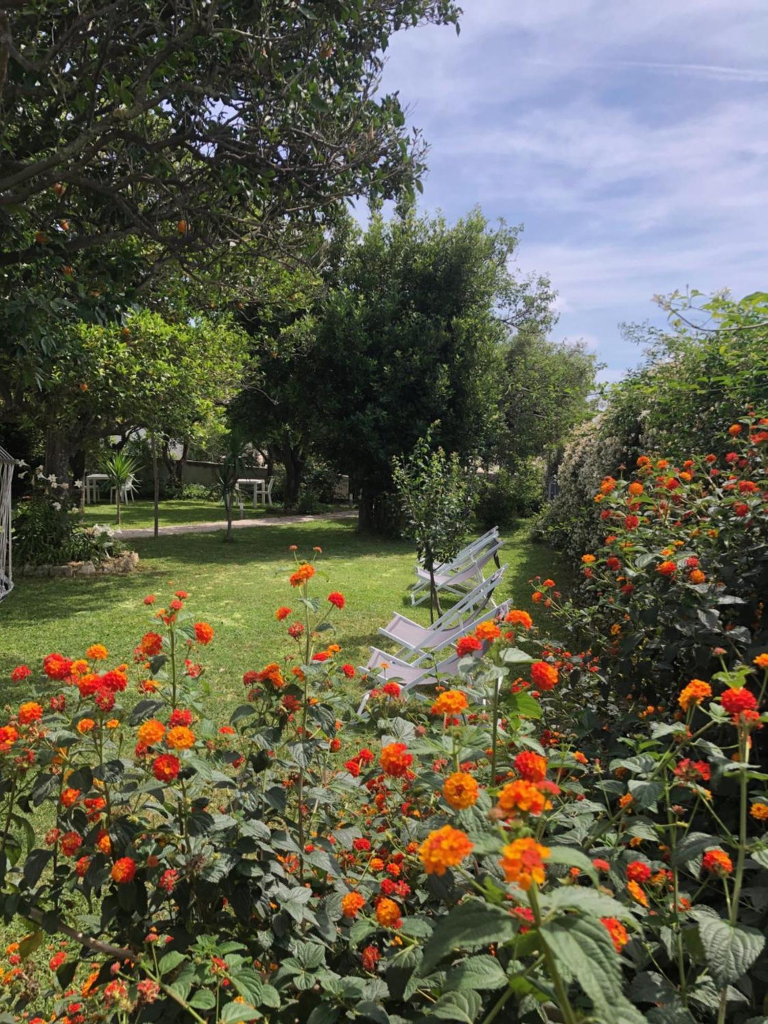 بروسيدا Villa Caterina B&B المظهر الخارجي الصورة